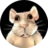 keshka4321